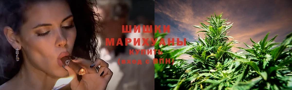 стаф Арсеньев