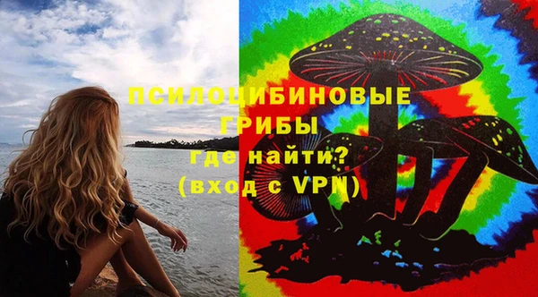 стаф Арсеньев
