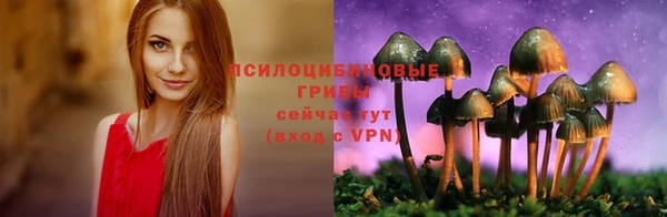 mdpv Армянск