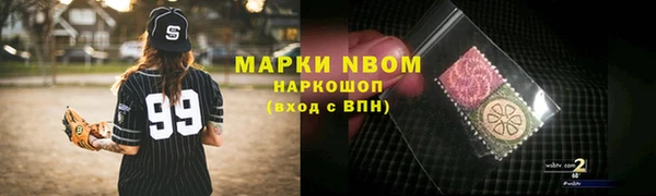 стаф Арсеньев