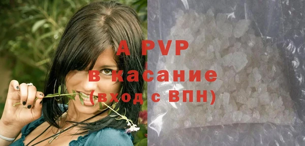 стаф Арсеньев