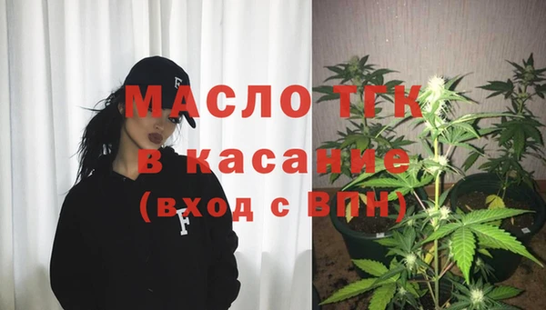 стаф Арсеньев
